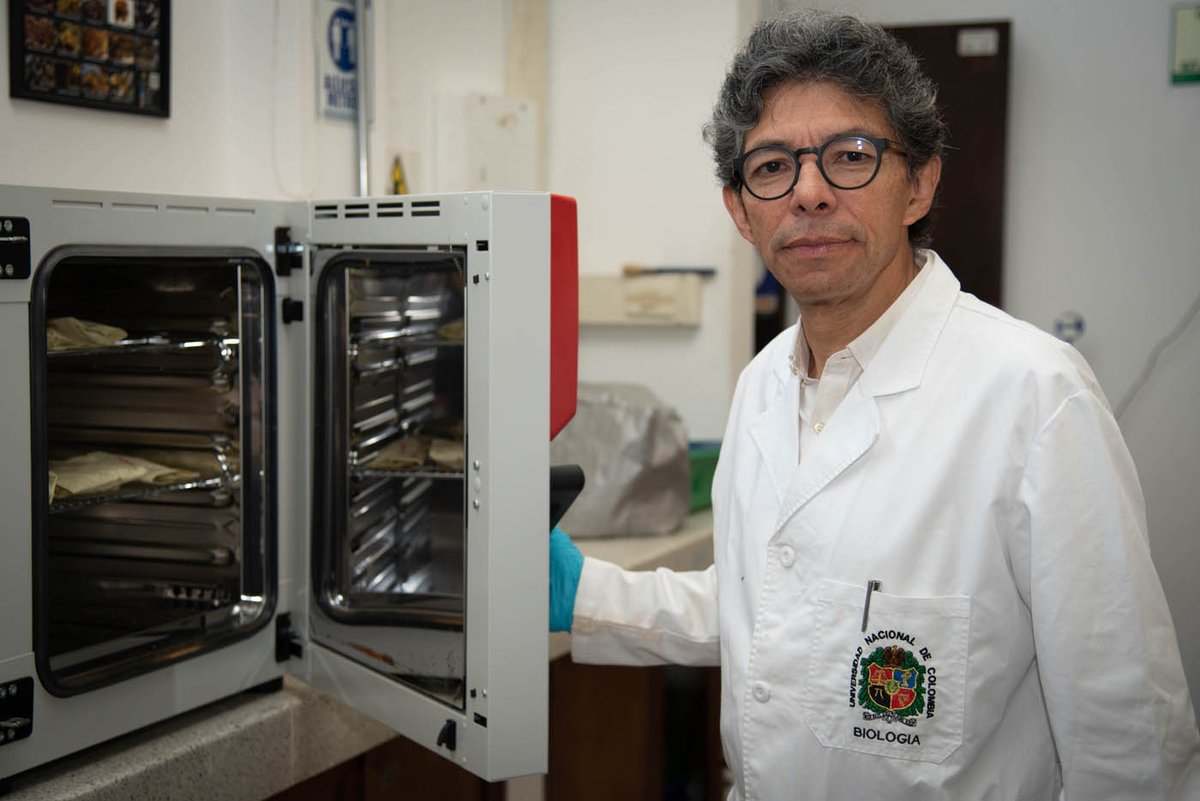 MMM6 - Colombia (@meetingmmm6) on Twitter photo Science contributes to the conservation of mangroves... Professor Ernesto Mancera from <a href="/UNALOficial/">Universidad Nacional de Colombia</a> highlights the importance of identifying the threats to these ecosystems...
periodico.unal.edu.co/articulos/la-c… Science contributes to the conservation of mangroves... Professor Ernesto Mancera from <a href="/UNALOficial/">Universidad Nacional de Colombia</a> highlights the importance of identifying the threats to these ecosystems...
periodico.unal.edu.co/articulos/la-c…