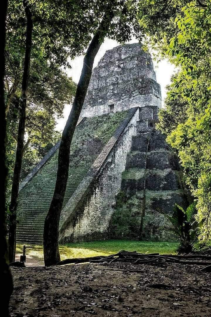 Temple 5; a 7th Century CE, Mayan Temple, located in Tikal National park, Guatemala.

#drthehistories