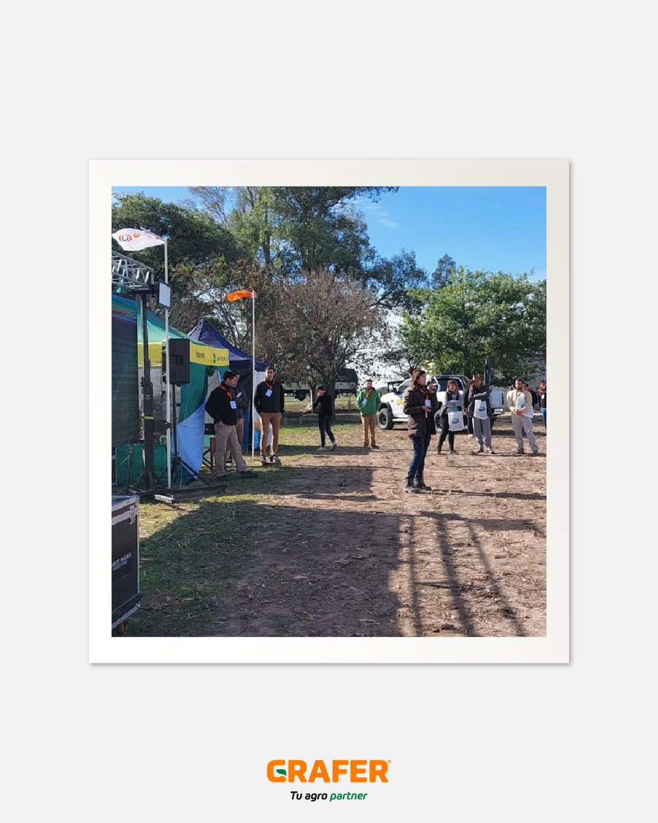 GRAFER SRL tweet media