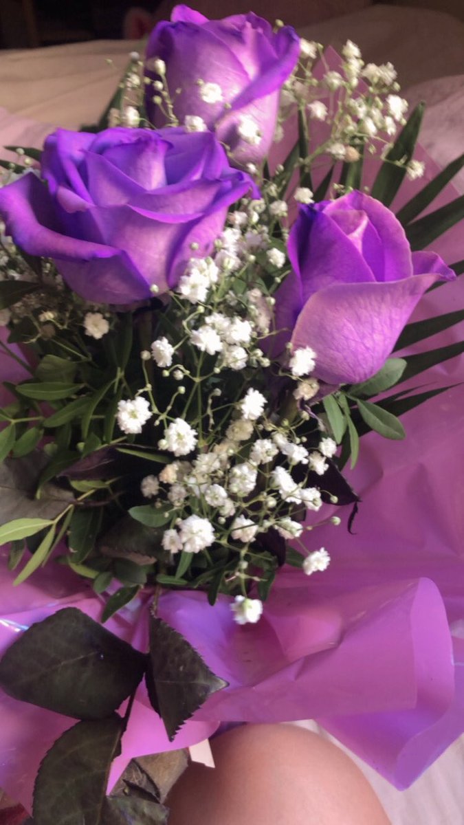 _andreavf's tweet photo. hoy no me encuentro muy bien y Dani ha venido y me traído rosas lilas 🥹💜 https://t.co/XUf3G9OKxP