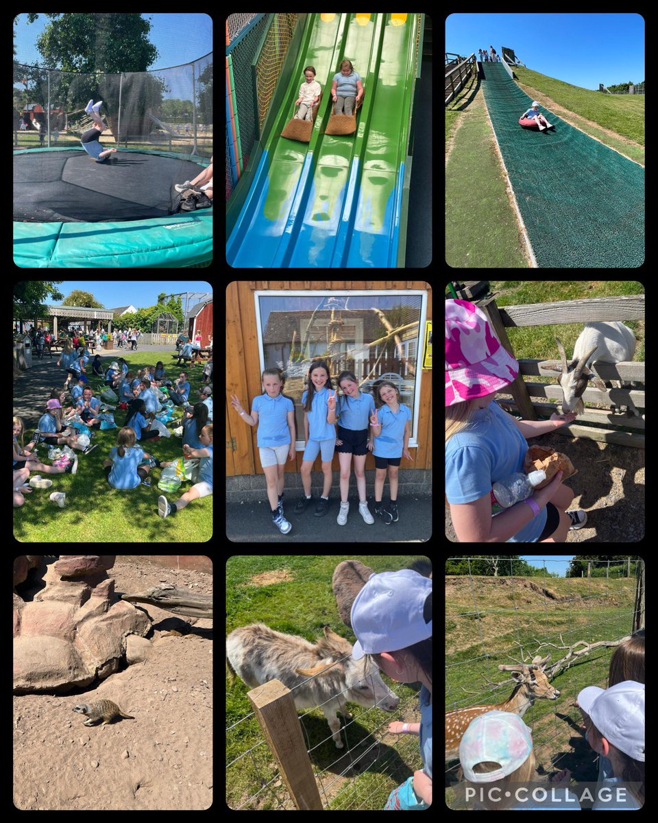 BurghPrimary's tweet photo. P4 had a great day at Heads Of Ayr farm park today - lots of fun and games in the glorious sunshine @EducationSLC @slcHealthy #SchoolTrip #HeadsofAyr #FarmPark #TeamBurgh #DREAMBigatBurgh https://t.co/2QImKmDVr7
