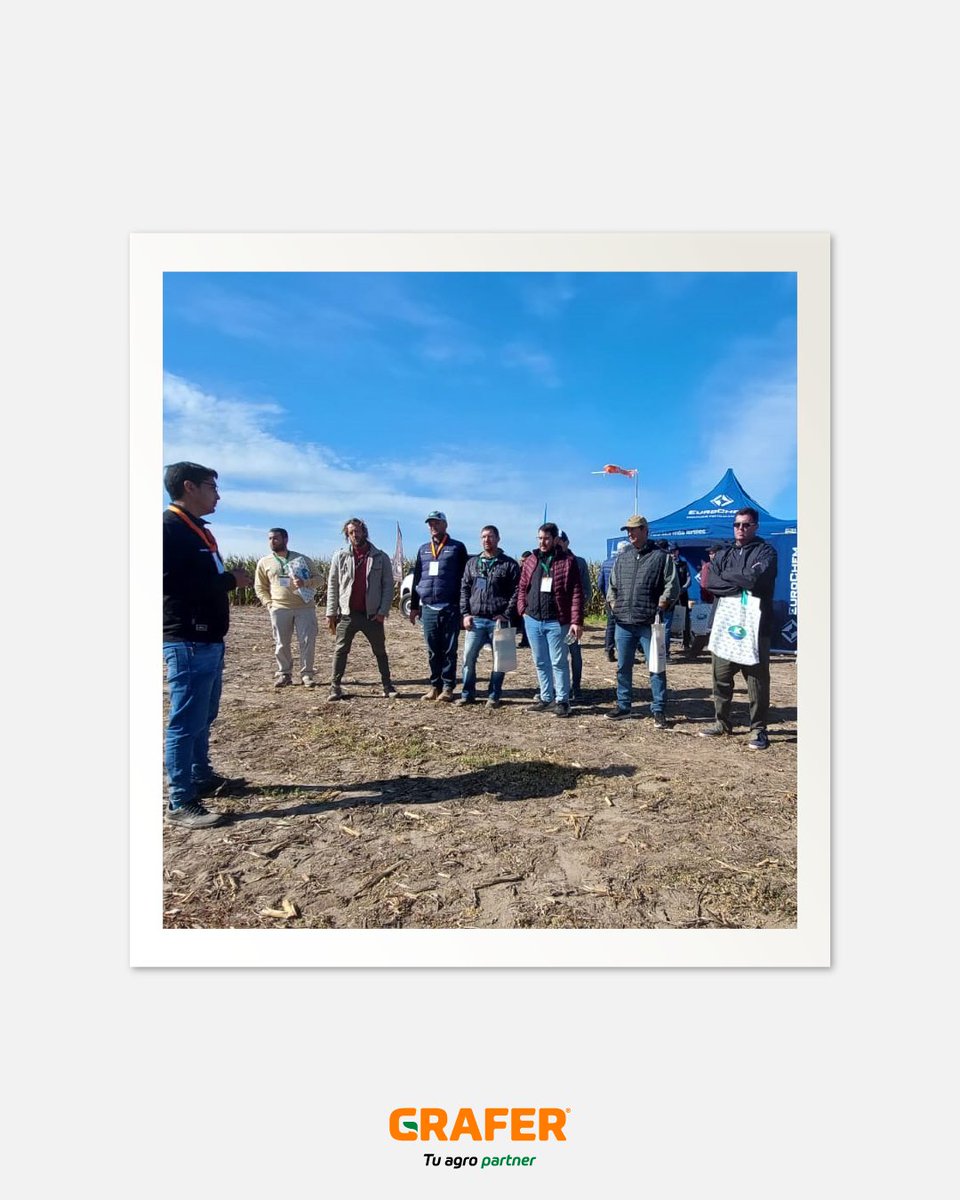 GRAFER SRL tweet media