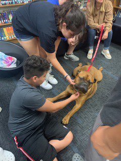 LakesideMiddle8's tweet photo. Our furry friends came to provide some end of year hugs to our students! 
Thank you Ms. Holland and Bright and Beautiful Therapy Dogs for making us smile!! #therapydog #LakesideFamily https://t.co/ddaj3mAwPm