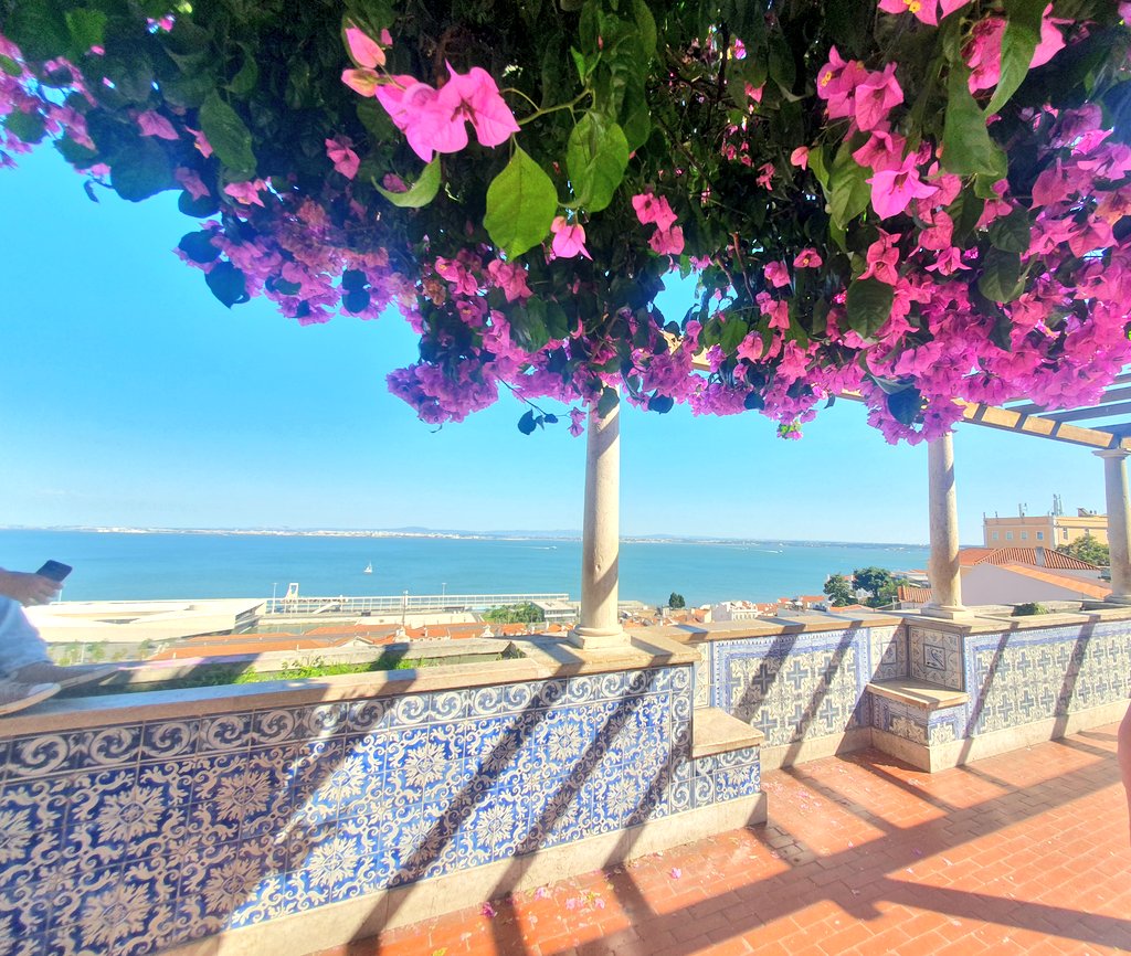 Energy_Anthropology tweet media