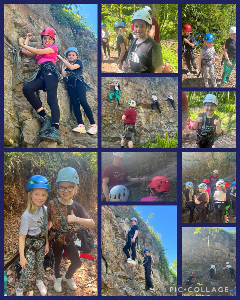 Miss Rees tweet media