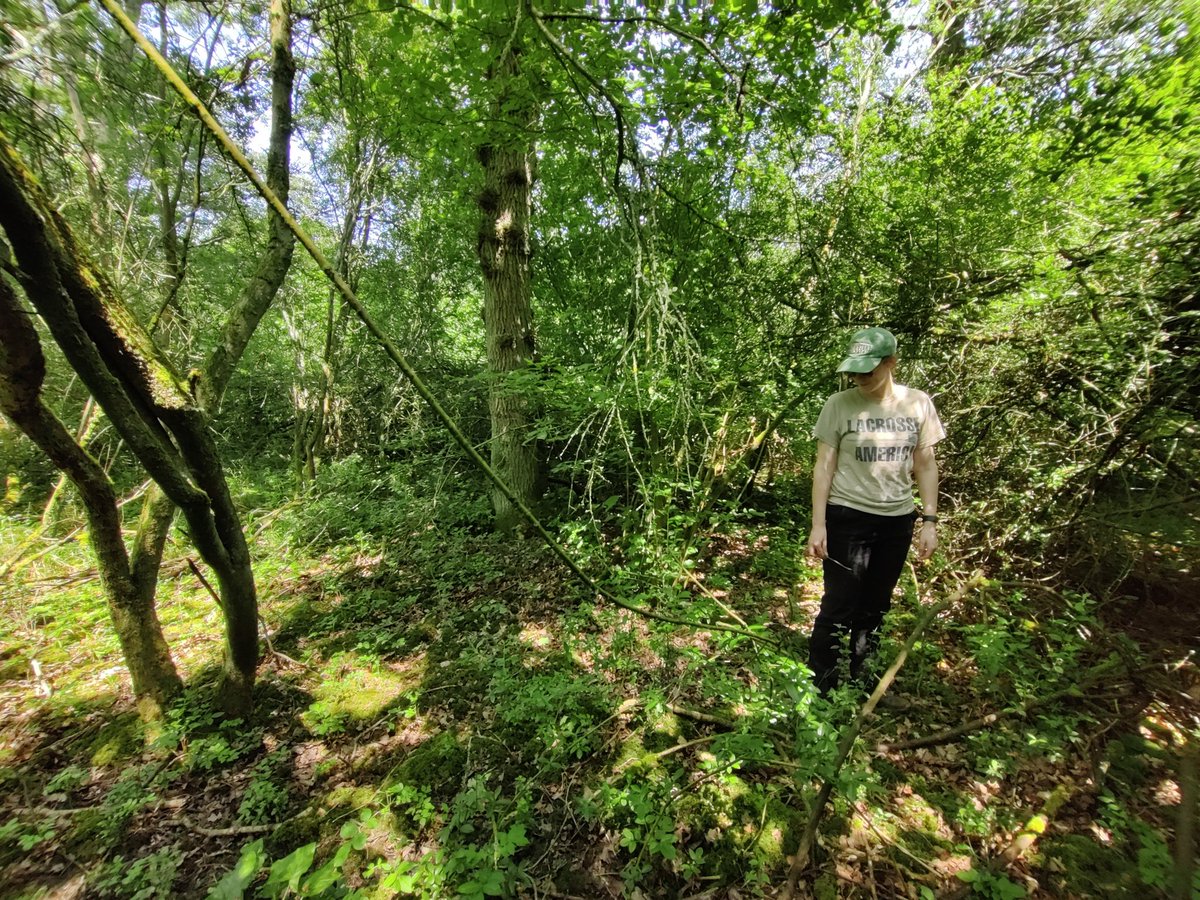 Holly Woo (@gaoandlove) on Twitter photo Smashed it ๐๐ณ Thank you <a href="/Hanka_KL/">Kathryn Hand</a> for helping finish off my survey of 'Big' Linford Wood today. 46 grid squares (184 quadrats) of brambles, blackthorn, nettles and lots of nice ancient woodland plants to make it all worth it โบ๏ธ Smashed it ๐๐ณ Thank you <a href="/Hanka_KL/">Kathryn Hand</a> for helping finish off my survey of 'Big' Linford Wood today. 46 grid squares (184 quadrats) of brambles, blackthorn, nettles and lots of nice ancient woodland plants to make it all worth it โบ๏ธ