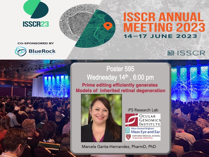 We are presenting today at the #ISSCR2023. Swing by if you are interested in #primeediting and #retinal #organoids for #modeling #retinal #diseases.