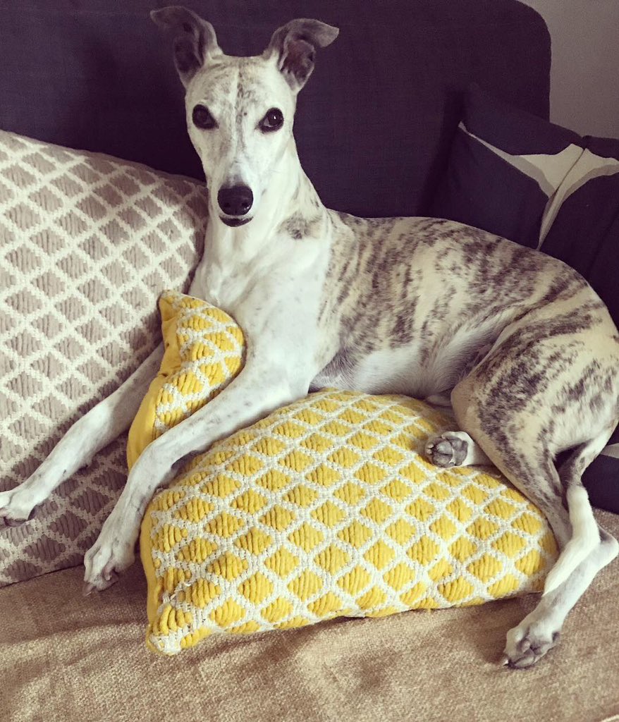 Mr Garley tweet media