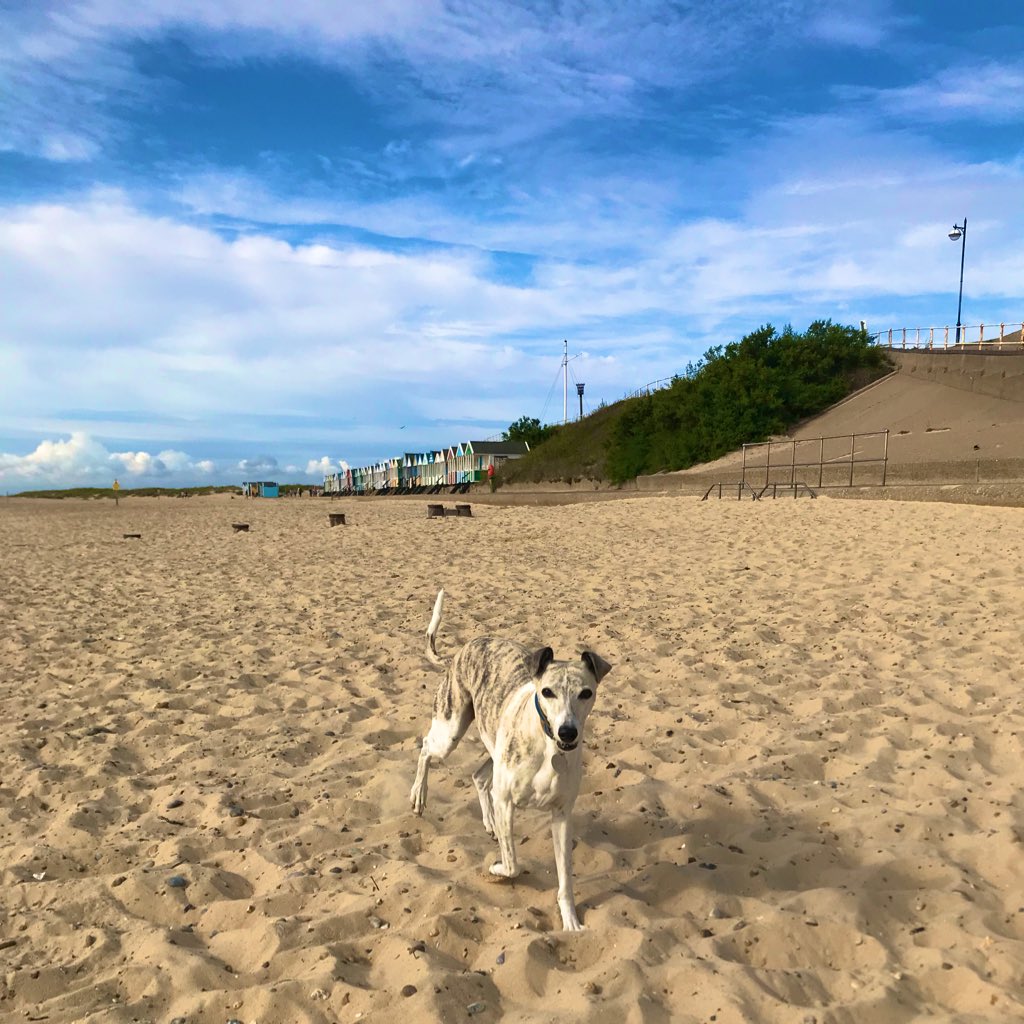 Mr Garley tweet media