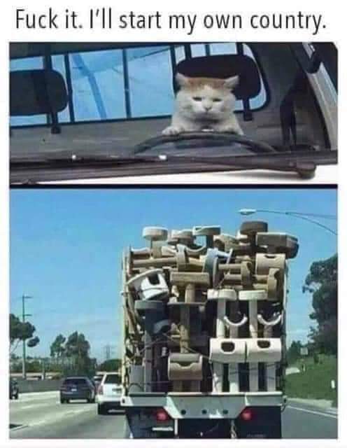 KrisnBrit's tweet image. 