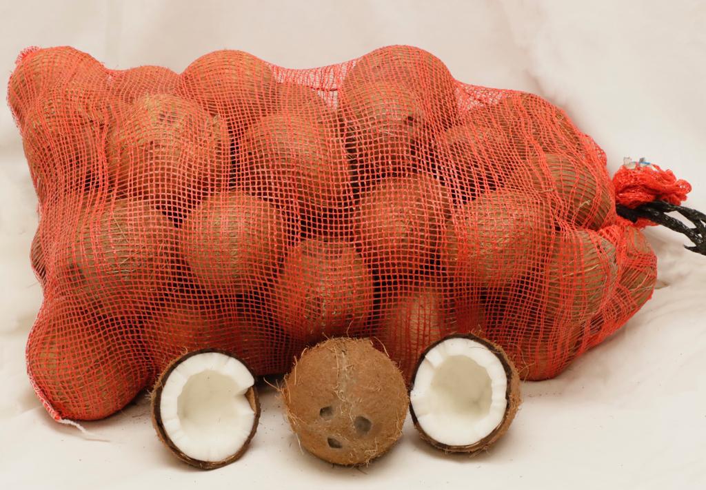 Trusteefarm1's tweet photo. Coconut exports to the Caribbean are on the rise, thanks to the region's growing demand for coconut products. #coconutexport #caribbean #coconutproducts
#coconutexport
#caribbean
#coconutproducts
#food
#agriculture
#sustainability
#business
#trade
#economy https://t.co/6sD0JsUdsU
