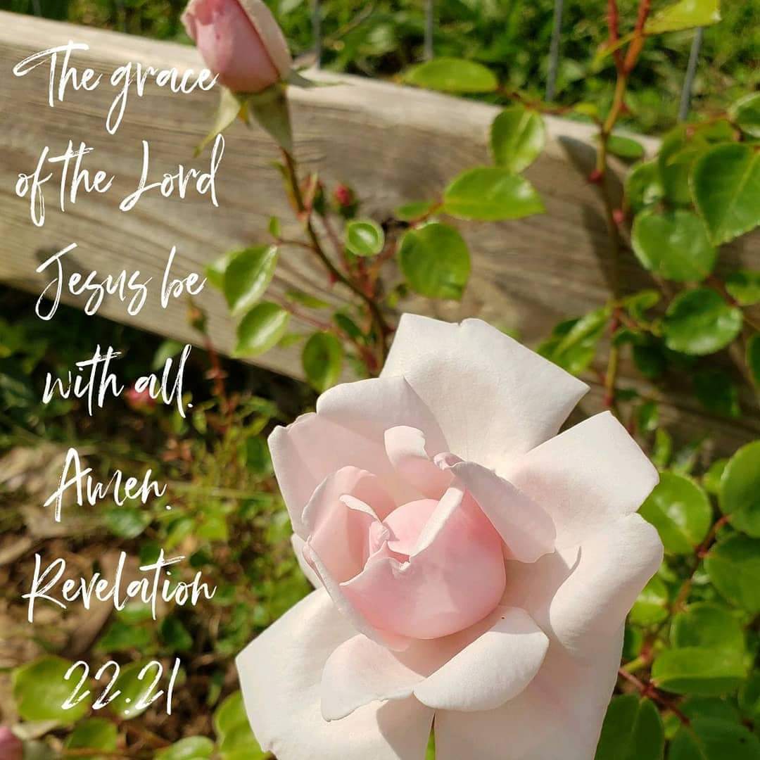 LyndelLittleton's tweet photo. Last words are important! The last words of the Bible speak of His grace! Speak grace!
#SBC23 #grace https://t.co/mKXlWCVcNB