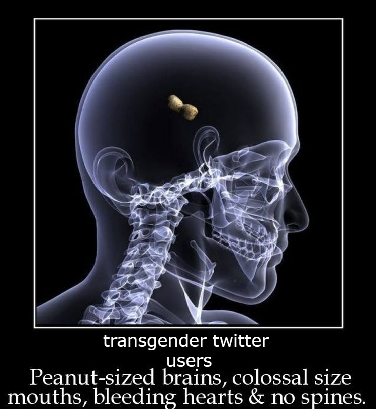 AlzxsWasLost's tweet photo. @Don_Quixote_Fan @SpringHell1201 @PunishedOlmo https://t.co/e4jvRUfl6R