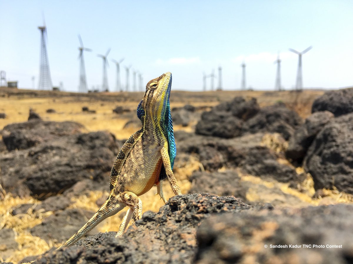 It’s amazing what a year can bring.

A global framework #GBF for nature. Nearly 200 countries committed to taking action. A portfolio of ambitious projects and initiatives.

See the latest in our “Protect” annual report:

nature.ly/3N8HaED