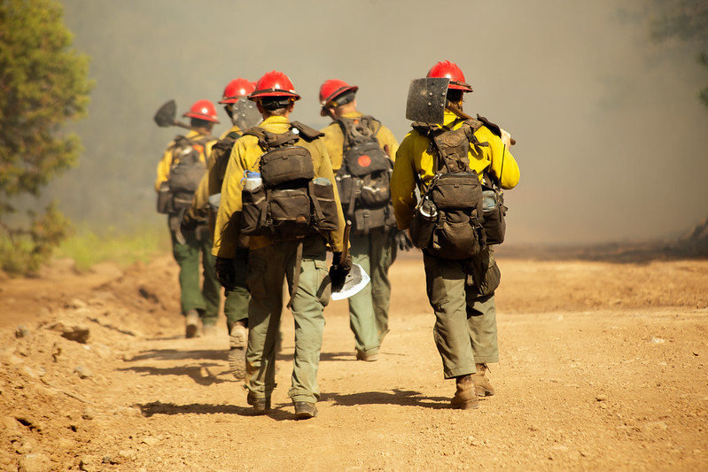 CoconinoNF's tweet image. The Mormon Lake #Hotshots work on the Wilbur Fire, a lightning-caused wildfire located on the Mogollon Rim Ranger District of the Coconino National Forest.
