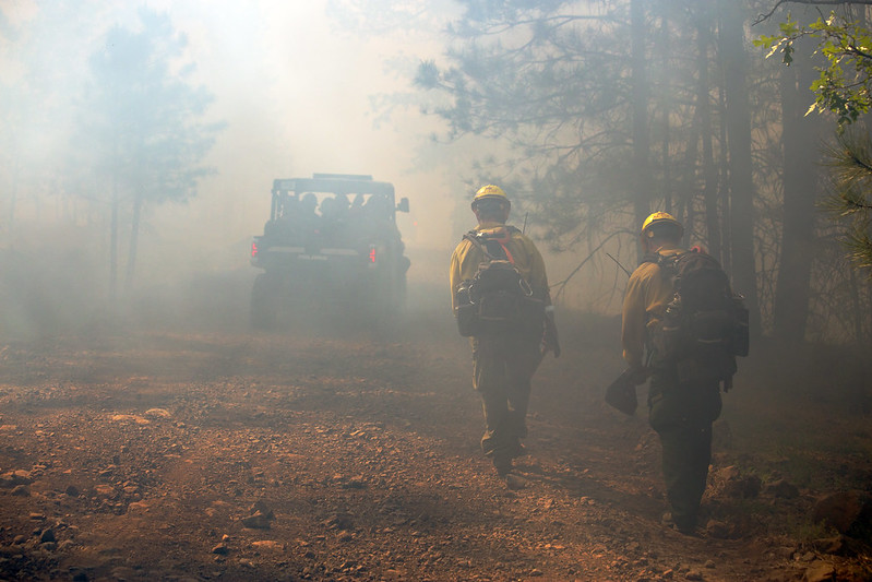 CoconinoNF's tweet image. The Mormon Lake #Hotshots work on the Wilbur Fire, a lightning-caused wildfire located on the Mogollon Rim Ranger District of the Coconino National Forest.
