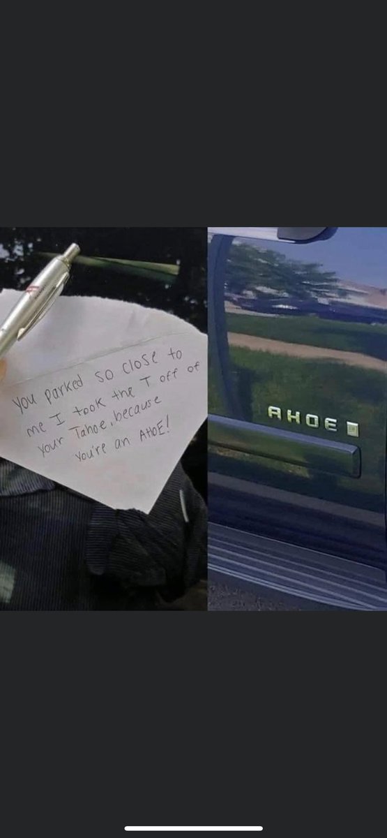 MikeBaut01's tweet photo. People are a menace 
#tahoe https://t.co/NJHy2x3YgQ