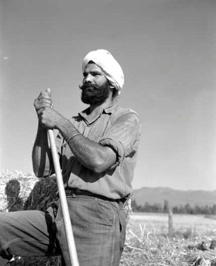 This iconic image shows Harnam Singh working in a hayfield in Abbotsford, British Columbia, Canada, on September 25, 1952. Harnam Singh, the man pictured, was one of many South Asian immigrants who came to Canada to work in agriculture. work. These workers played an