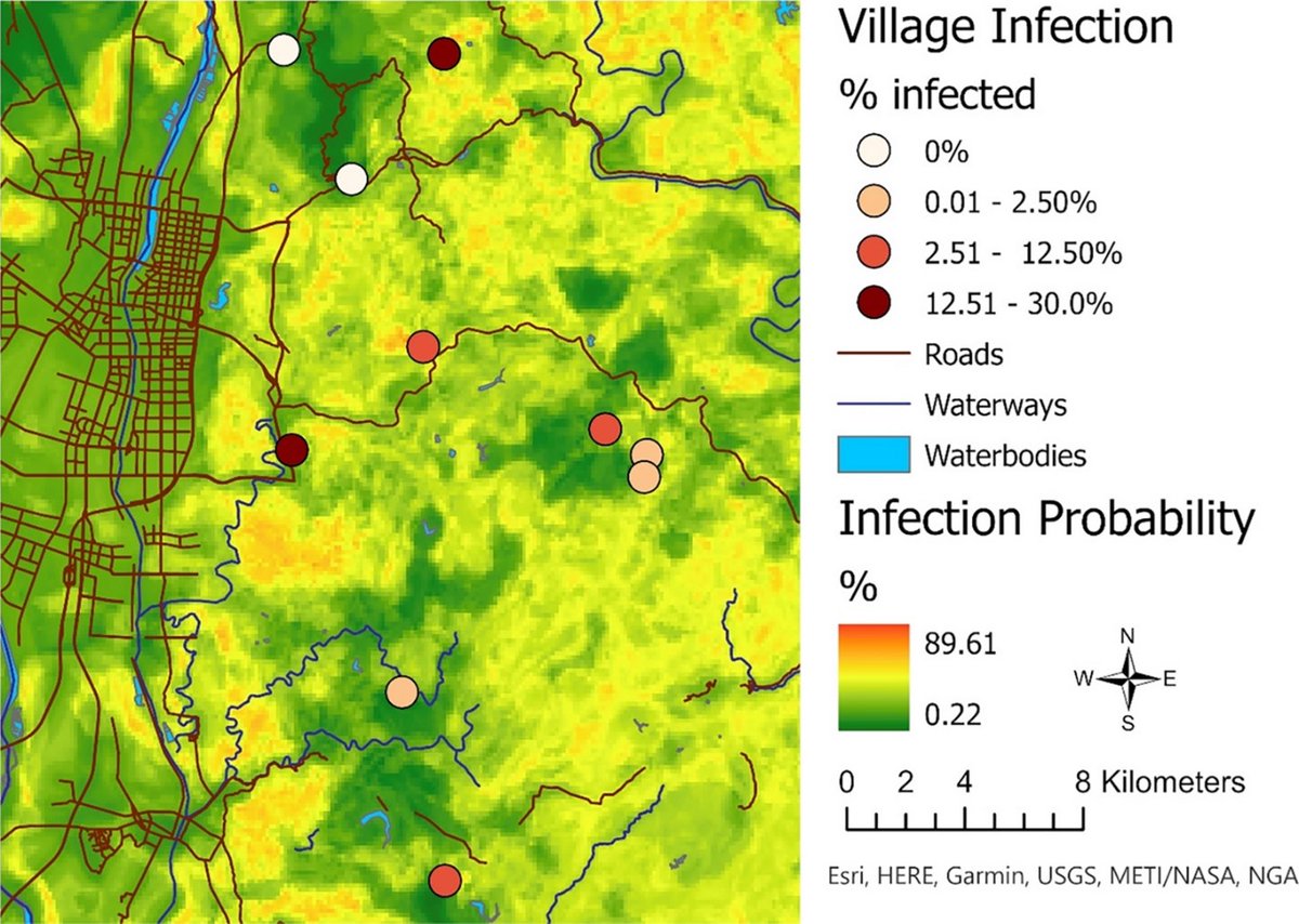As areas approach schistosomiasis elimination, cost-effective surveillance techniques are increasingly needed for pinpointing areas of high infection risk at fine geographic scales. In our new publication... doi.org/10.1186/s12942…
