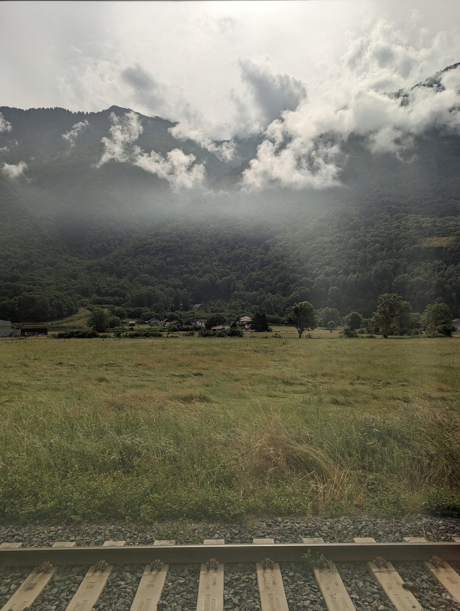 Raphael Chanay tweet media