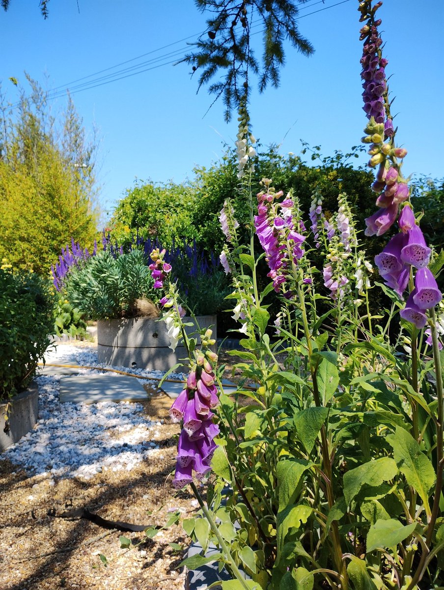 Ursula Williams tweet media