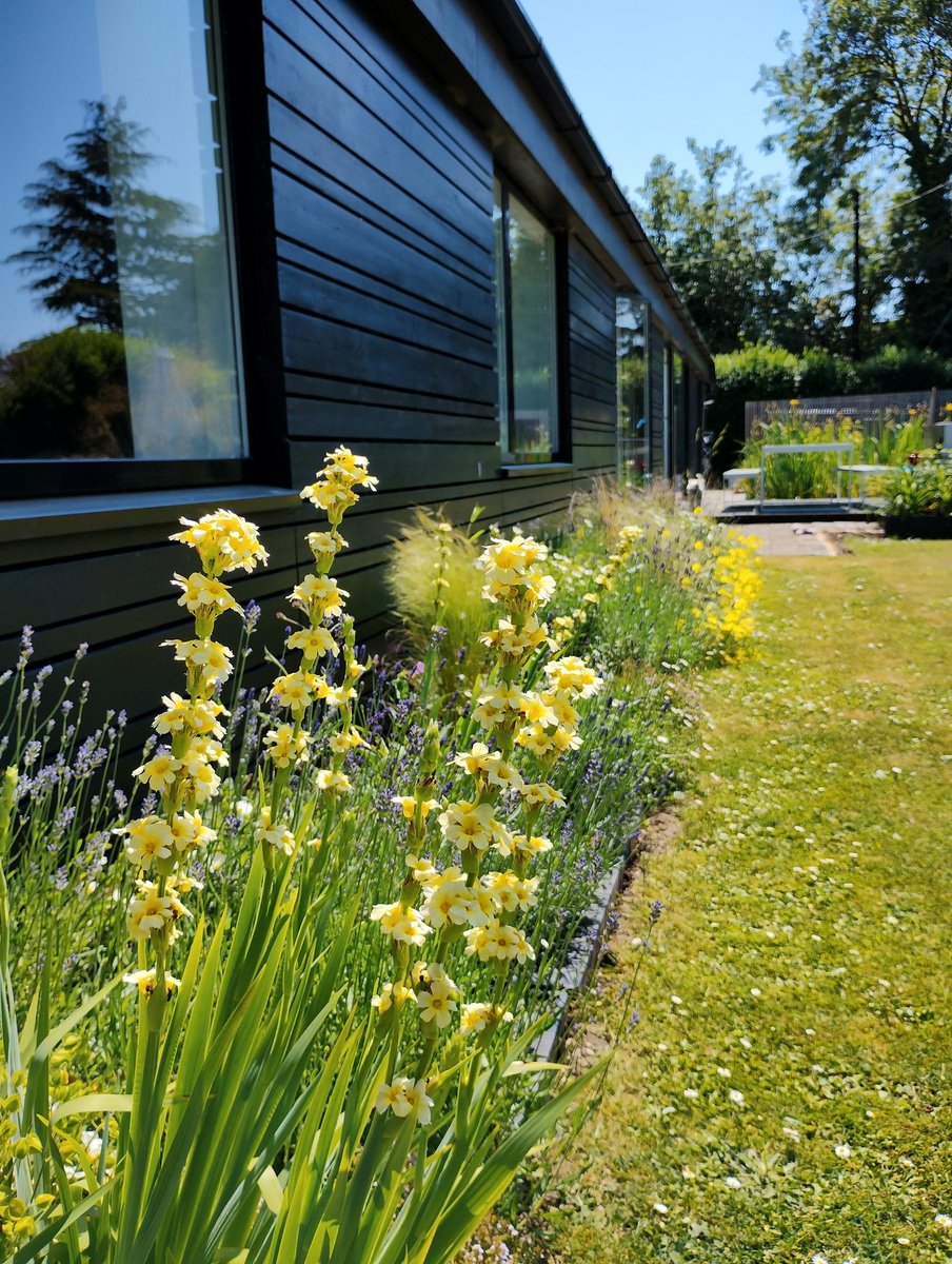 Ursula Williams tweet media