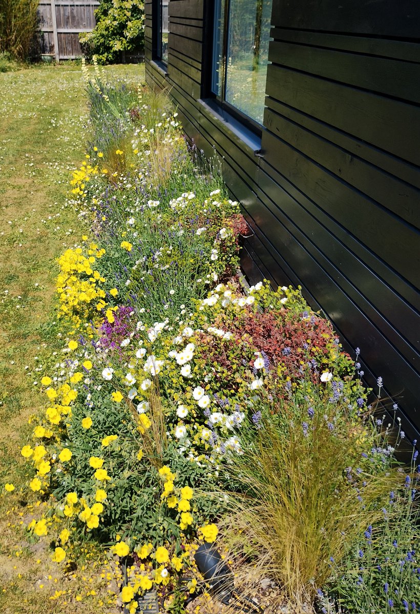 Ursula Williams tweet media