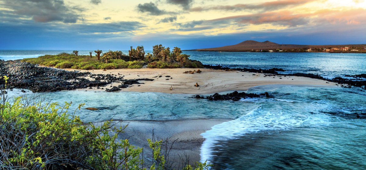 Did you know that tiny-but-mighty phytoplankton make half of Earth’s oxygen? See how SAS and <a href="/UNC_Galapagos/">UNC Center for Galapagos Studies</a> modeled their ecosystems to safeguard the entire ocean food chain. 2.sas.com/6014O2vlQ