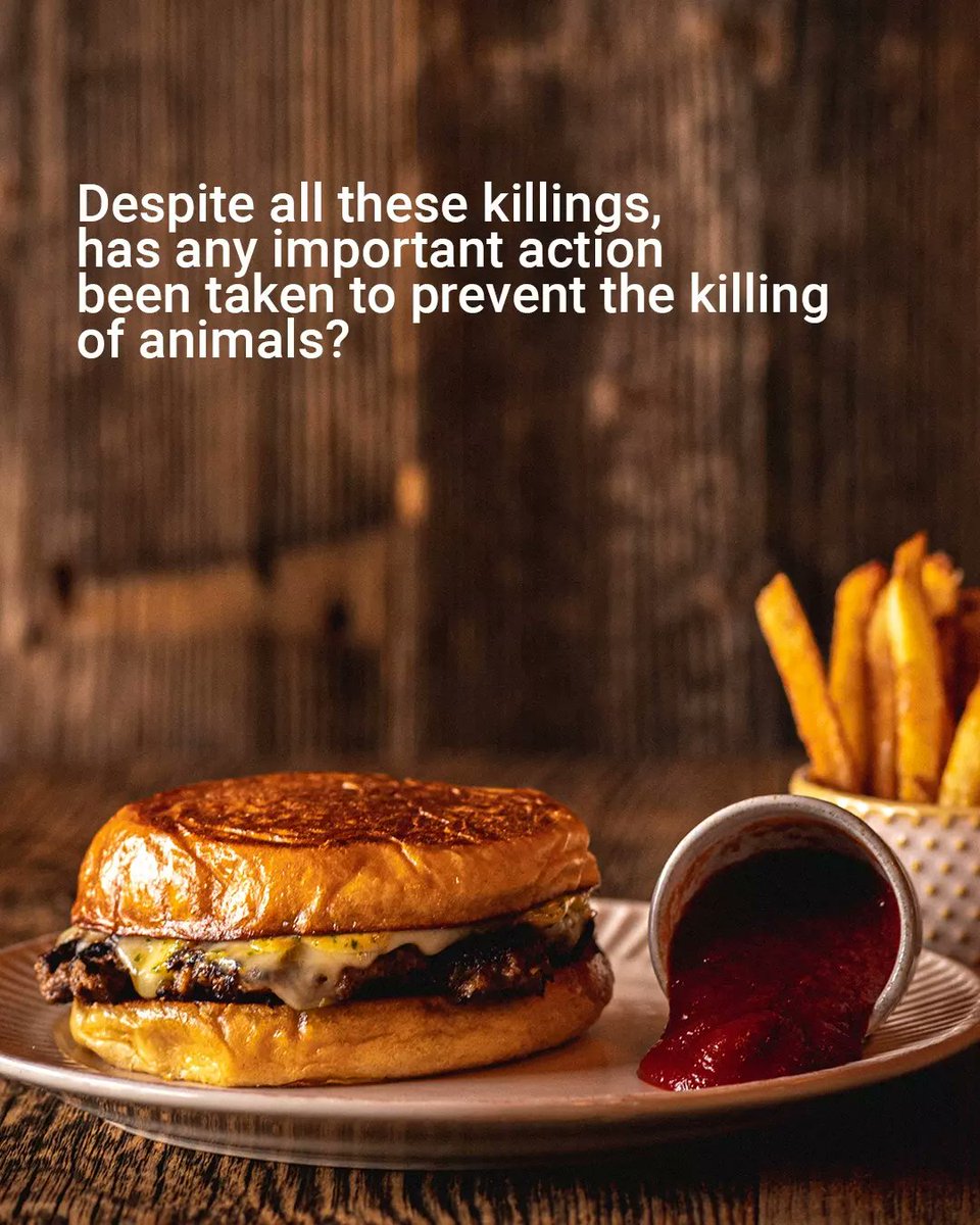 ZENunison's tweet photo. The production of leather products dosen't mean killing animals!!!
If you also think that the producers of leather products support the killing of animals, read this content. https://t.co/MJNl7LgDrD