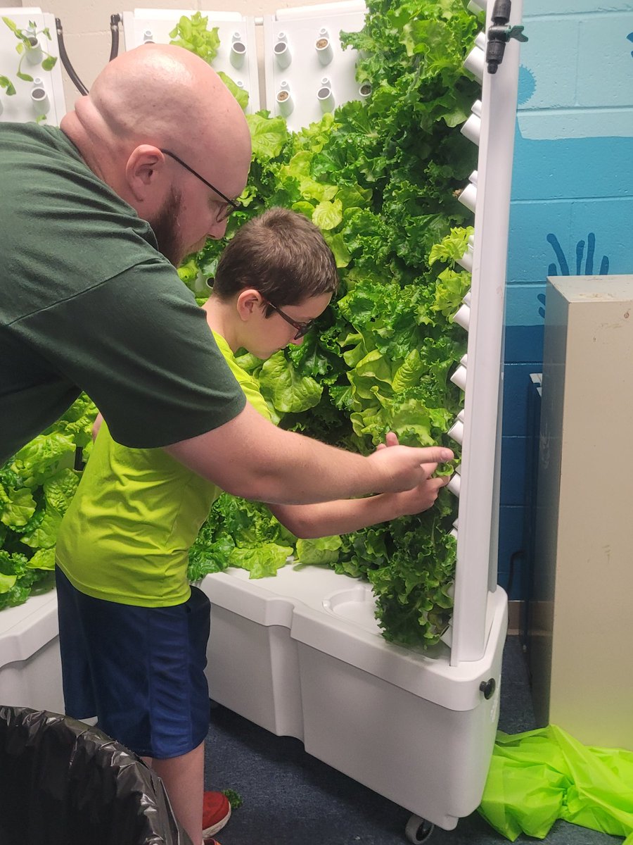 Amanda Gallerani tweet media