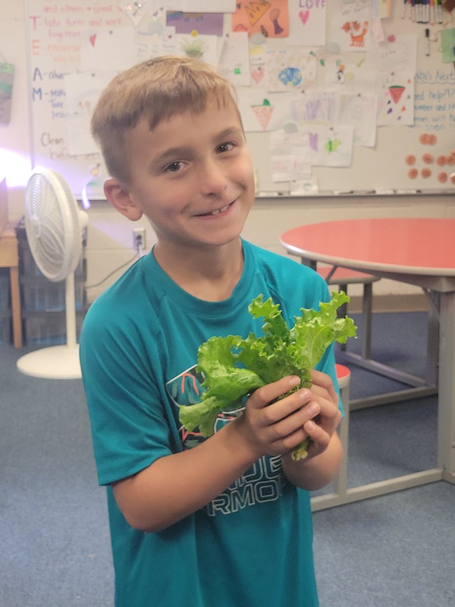 Amanda Gallerani tweet media