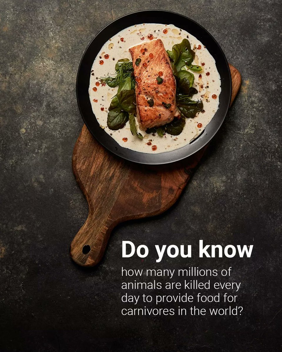 ZENunison's tweet photo. The production of leather products dosen't mean killing animals!!!
If you also think that the producers of leather products support the killing of animals, read this content. https://t.co/MJNl7LgDrD