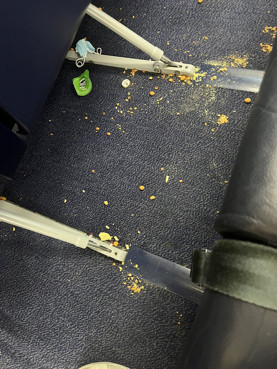 Dani Casarano tweet media