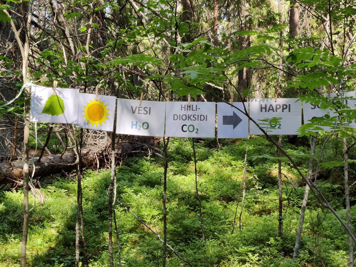 <a href="/UlosUtOut/">ULOS–UT–OUT</a> ulkona oppimassa, huippukoulutus!