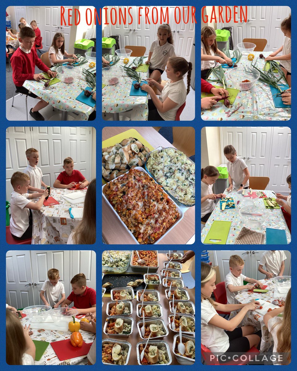 Pengam Year 5 tweet media