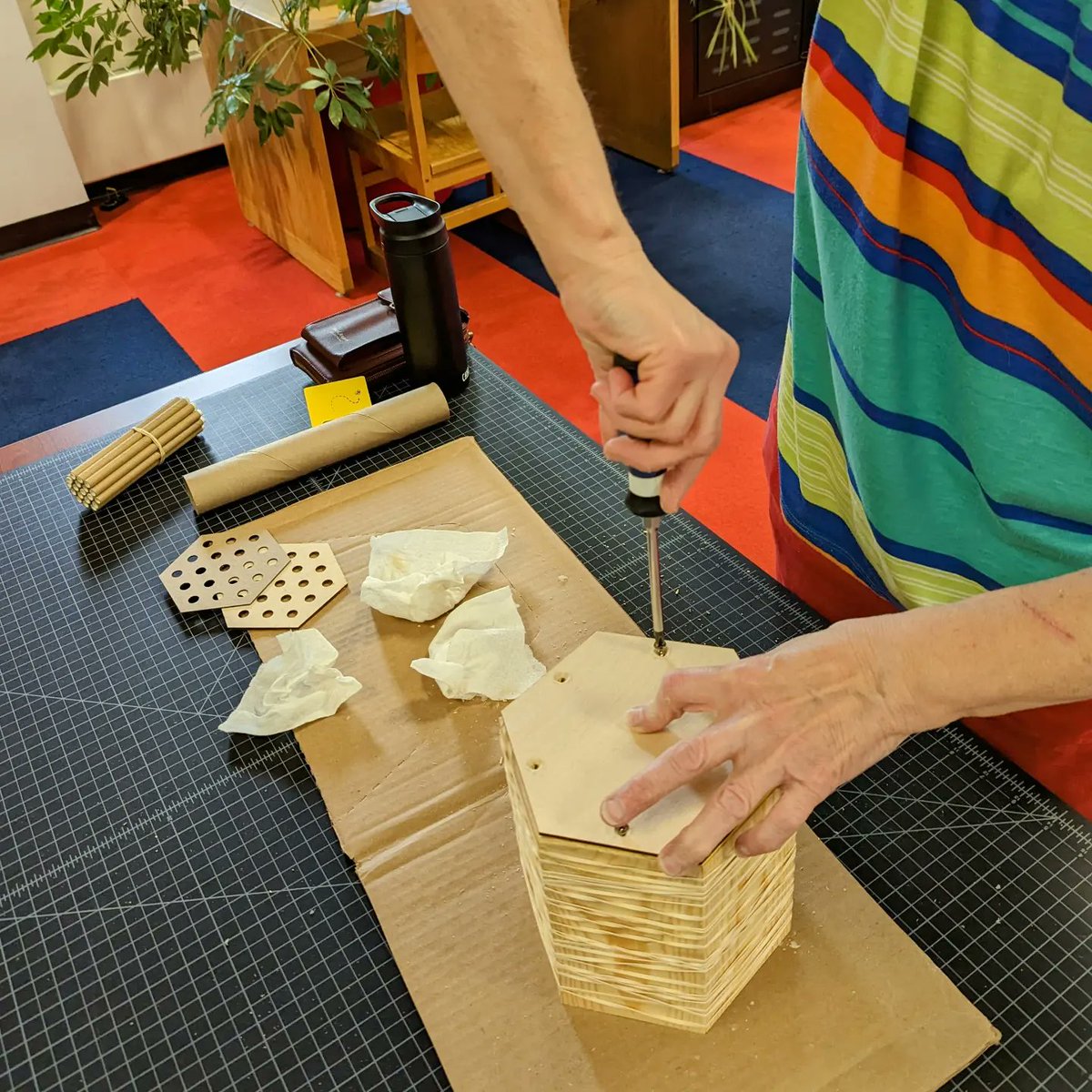 CCLDMakerspace's tweet image. We had a great time making mason bee houses in our first workshop, and are looking forward to the next two workshops later in June.
#pollinatorhabitat #pollinators #ccldmakerspace #makerspace #ccldlibraries #masonbees