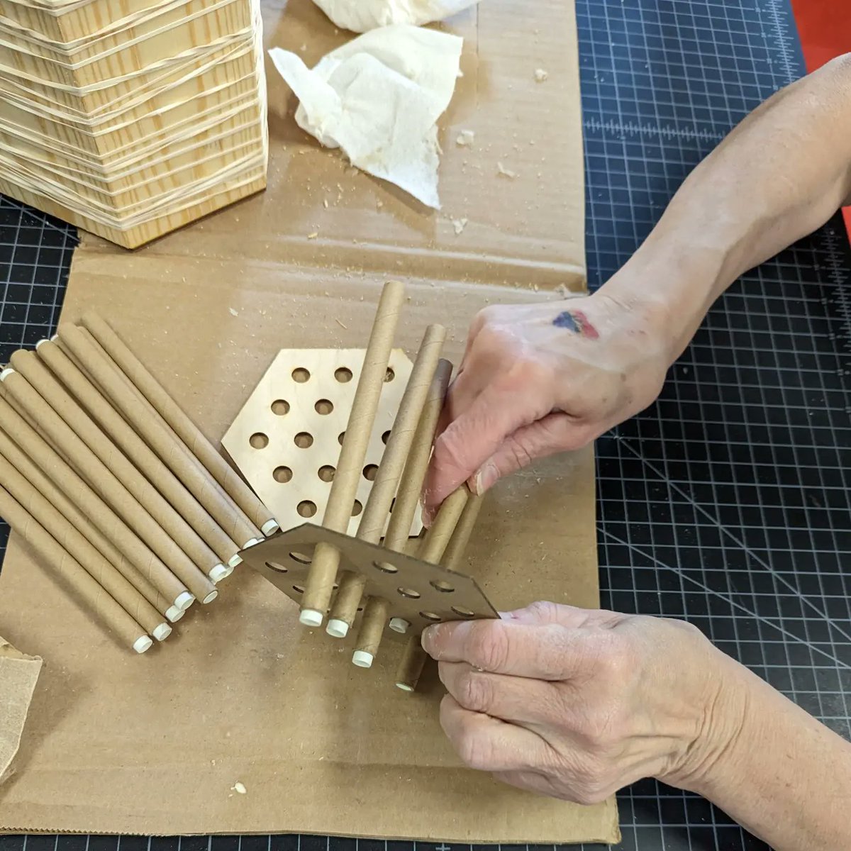 CCLDMakerspace's tweet image. We had a great time making mason bee houses in our first workshop, and are looking forward to the next two workshops later in June.
#pollinatorhabitat #pollinators #ccldmakerspace #makerspace #ccldlibraries #masonbees