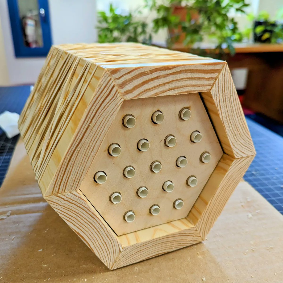 CCLDMakerspace's tweet image. We had a great time making mason bee houses in our first workshop, and are looking forward to the next two workshops later in June.
#pollinatorhabitat #pollinators #ccldmakerspace #makerspace #ccldlibraries #masonbees
