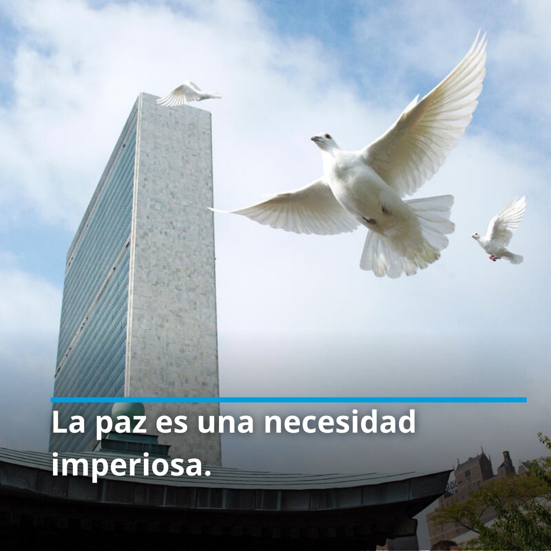 Mientras el odio sigue propagándose, debemos defender la paz más que nunca.

La paz no es solo el fin de la violencia, es también el respeto de los derechos humanos y eliminar la desigualdad.

Empezamos la cuenta regresiva hacia el #DíaDeLaPaz: un.org/es/observances…