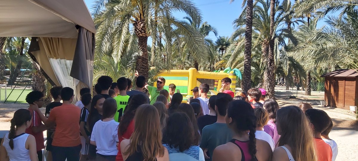 IES Torrellano tweet media