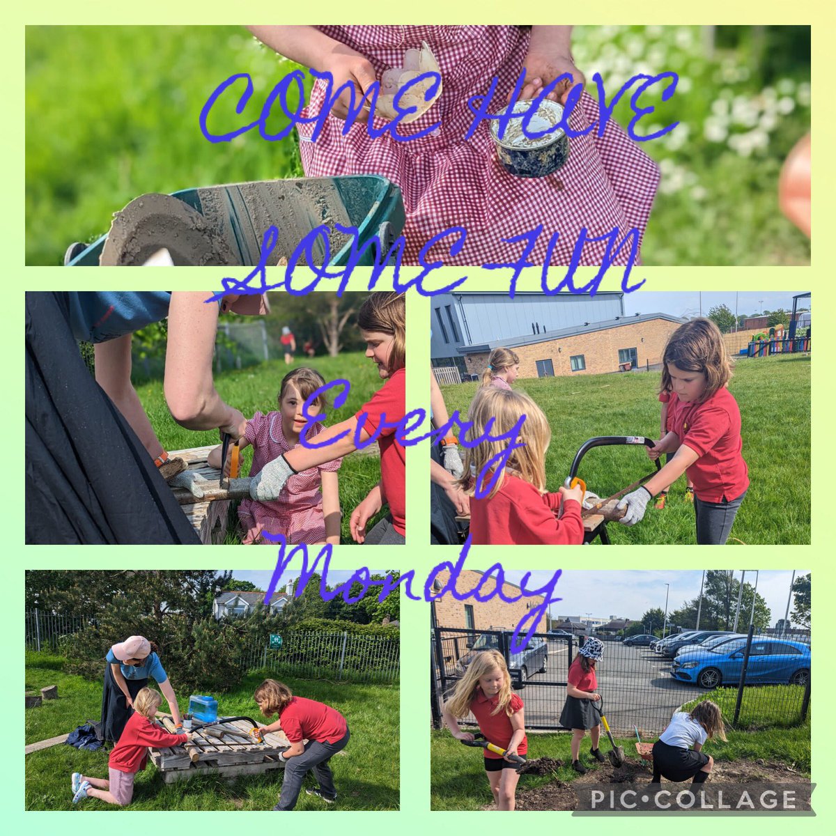 Clwb Coed yn dechrau nôl dydd Llun nesaf (19/06). Agor i blant o Bl2-6, 3.30-5pm £50 am hanner tymor. I bwcio, mynd i bookwhen.com/wildfire <a href="/YDewiSant/">Ysgol Dewi Sant</a>