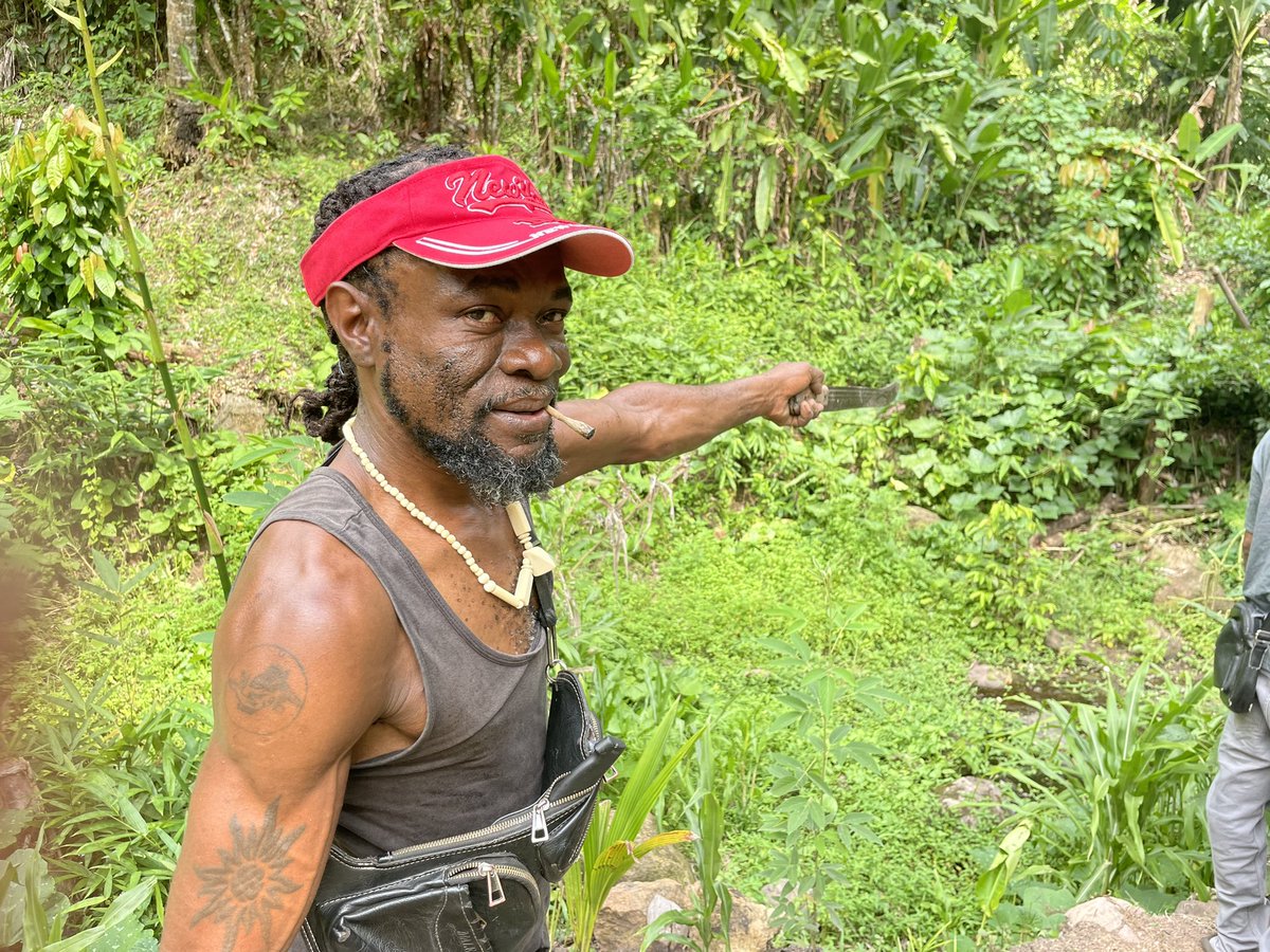 tvocnetwork's tweet photo. @AmmaGyamfowa We think so! Progress shots from our trial run: https://t.co/TWs1ycnsej