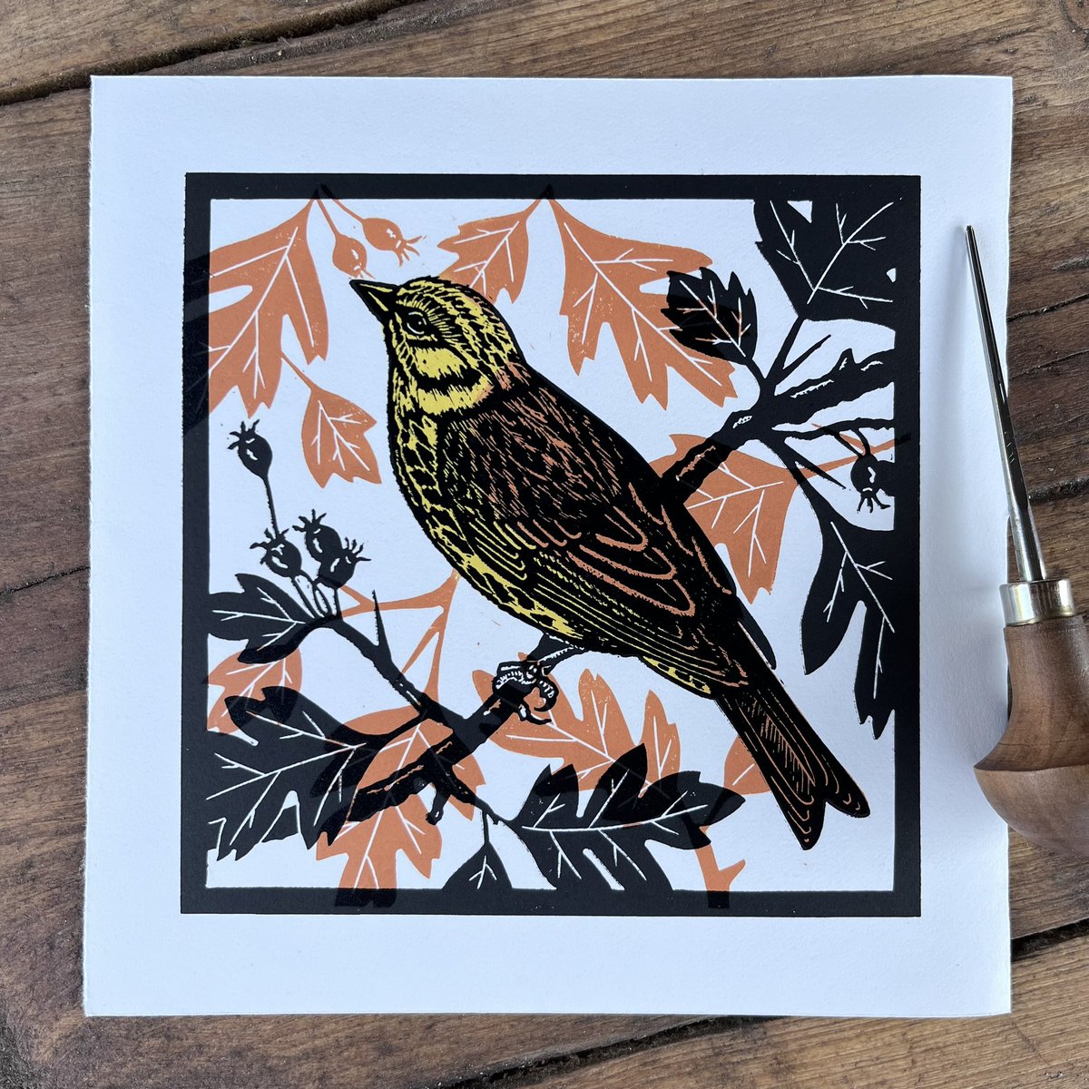 Sarah Delahoy Printmaker tweet media