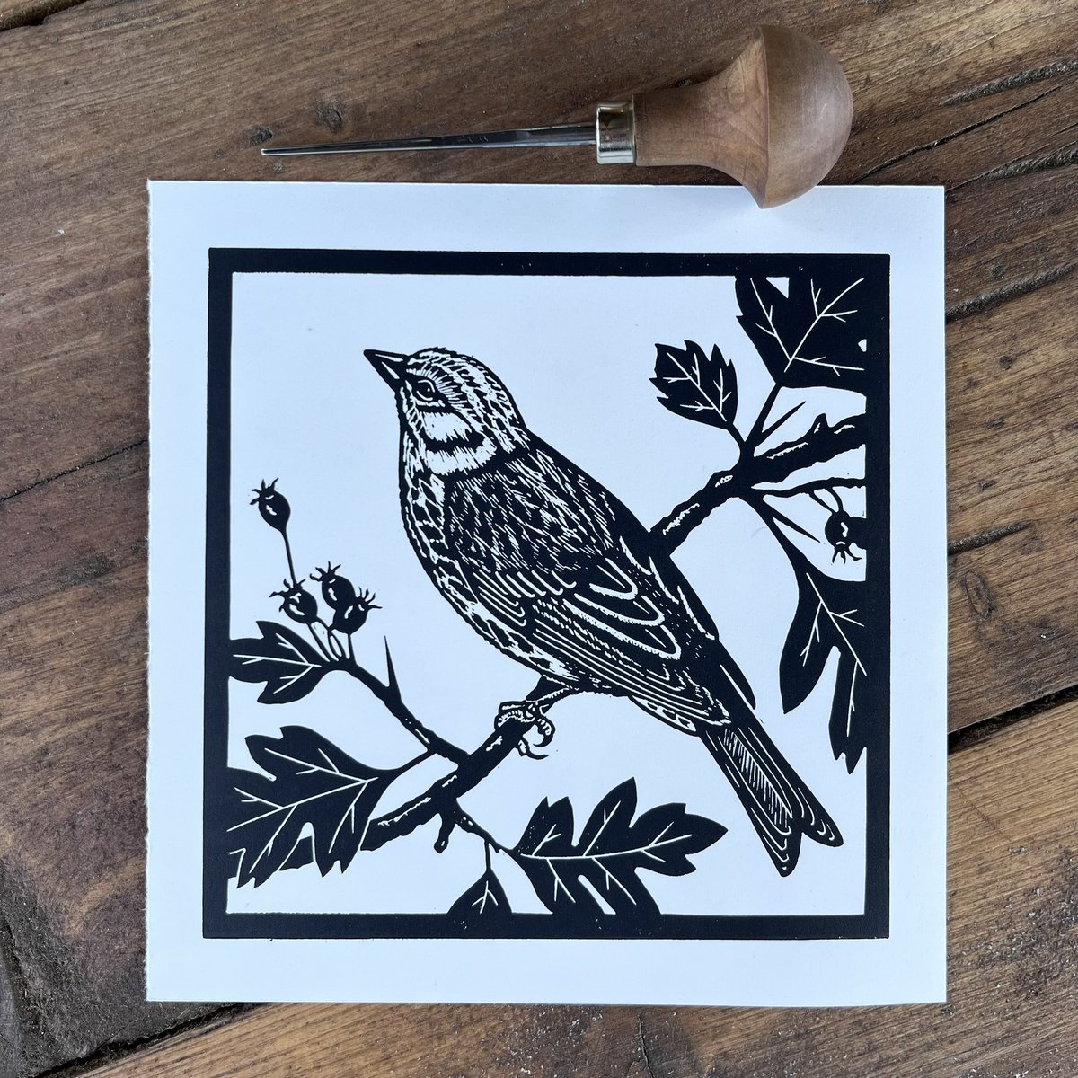 Sarah Delahoy Printmaker tweet media