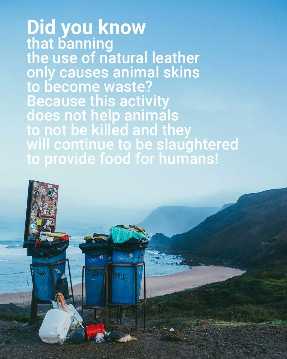 ZENunison's tweet photo. The production of leather products dosen't mean killing animals!!!
If you also think that the producers of leather products support the killing of animals, read this content
#zenunison #animallovers #leather #fashion_magazine https://t.co/2ZvtnEtajw
