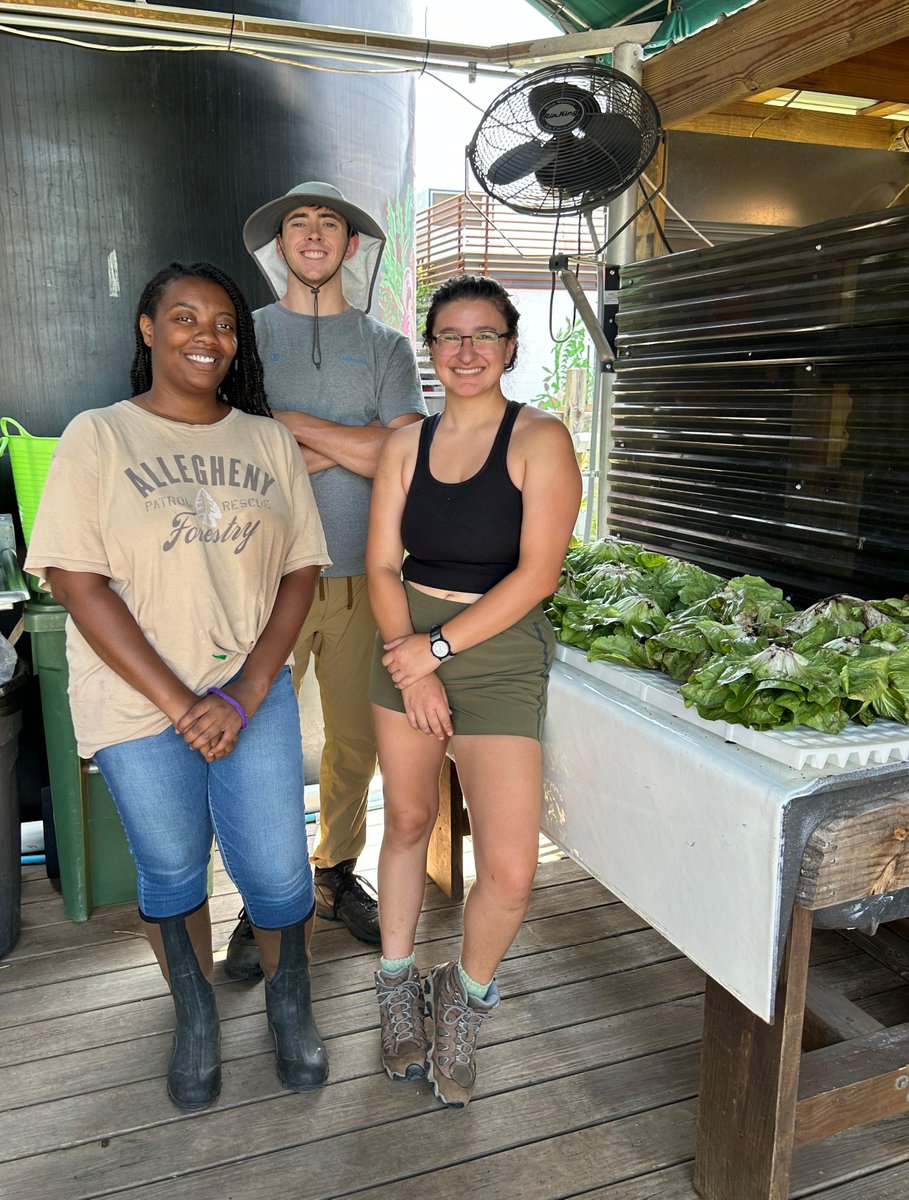 We have the best intern crew! Ariel, Jacob and Marlee knocked it out of the park today and harvested over 200 lbs of beautiful, healthy produce. Stop by from 4pm-7pm to enjoy today's bounty. 🥬💚 #knowyourfarmer #paywhatyoucanfarmstand #digwhereyoulive