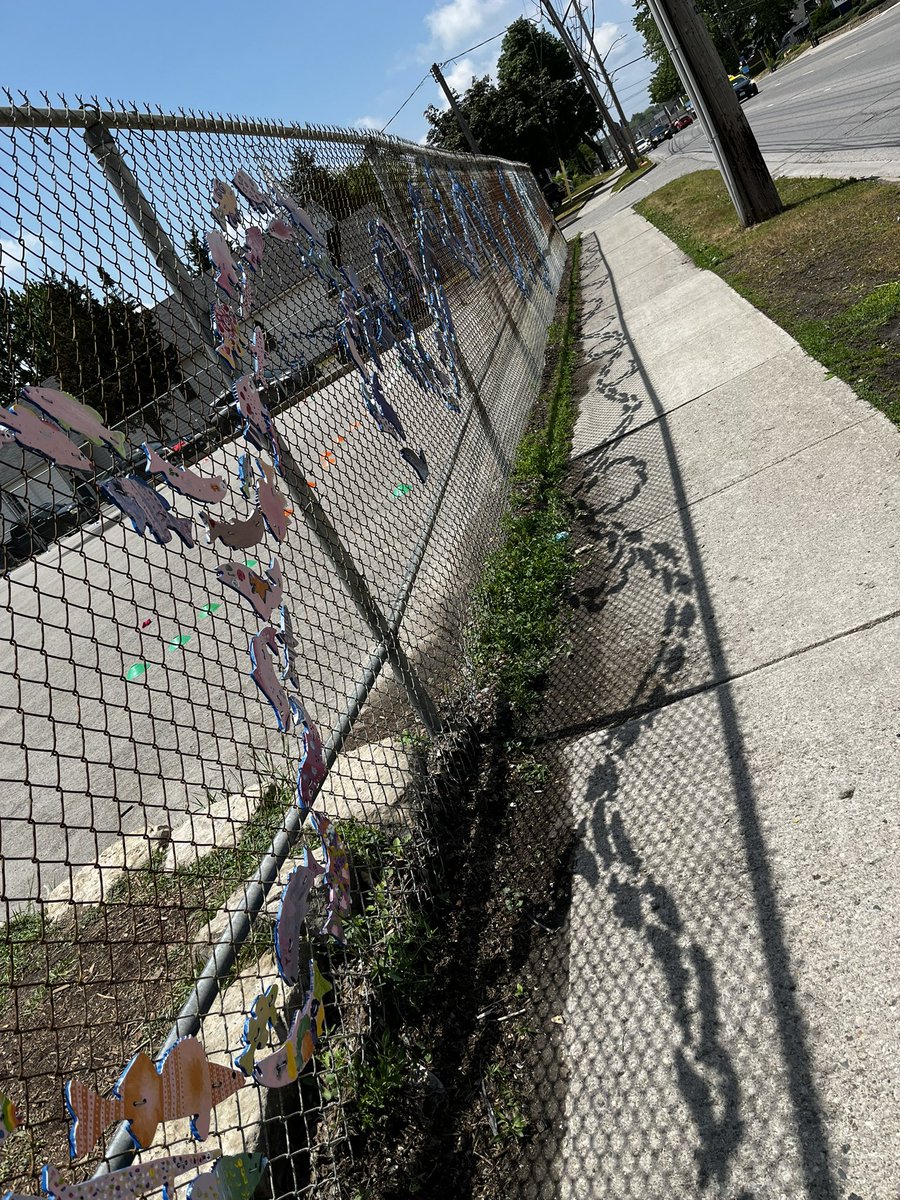 The fish are swimming along Oxford at Blessed Sacrament <a href="/BSCS6/">Blessed Sacrament</a>! Thanks to the school staff, volunteers and UTRCA staff that helped install the fish today! <a href="/LDCSB/">London District Catholic School Board</a> <a href="/UTRCAmarketing/">Upper Thames River Conservation Authority</a> <a href="/fanshawe_edu/">UTRCA Education</a>