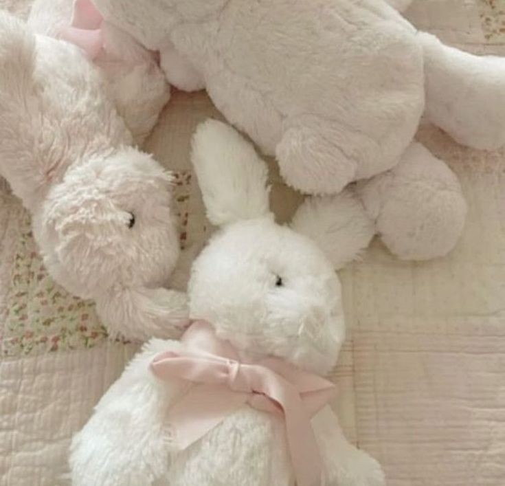 ☆ | Hiatus! tweet media