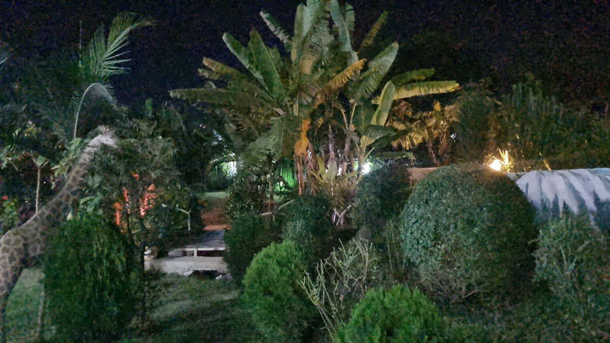 Askwar Hilonga tweet media