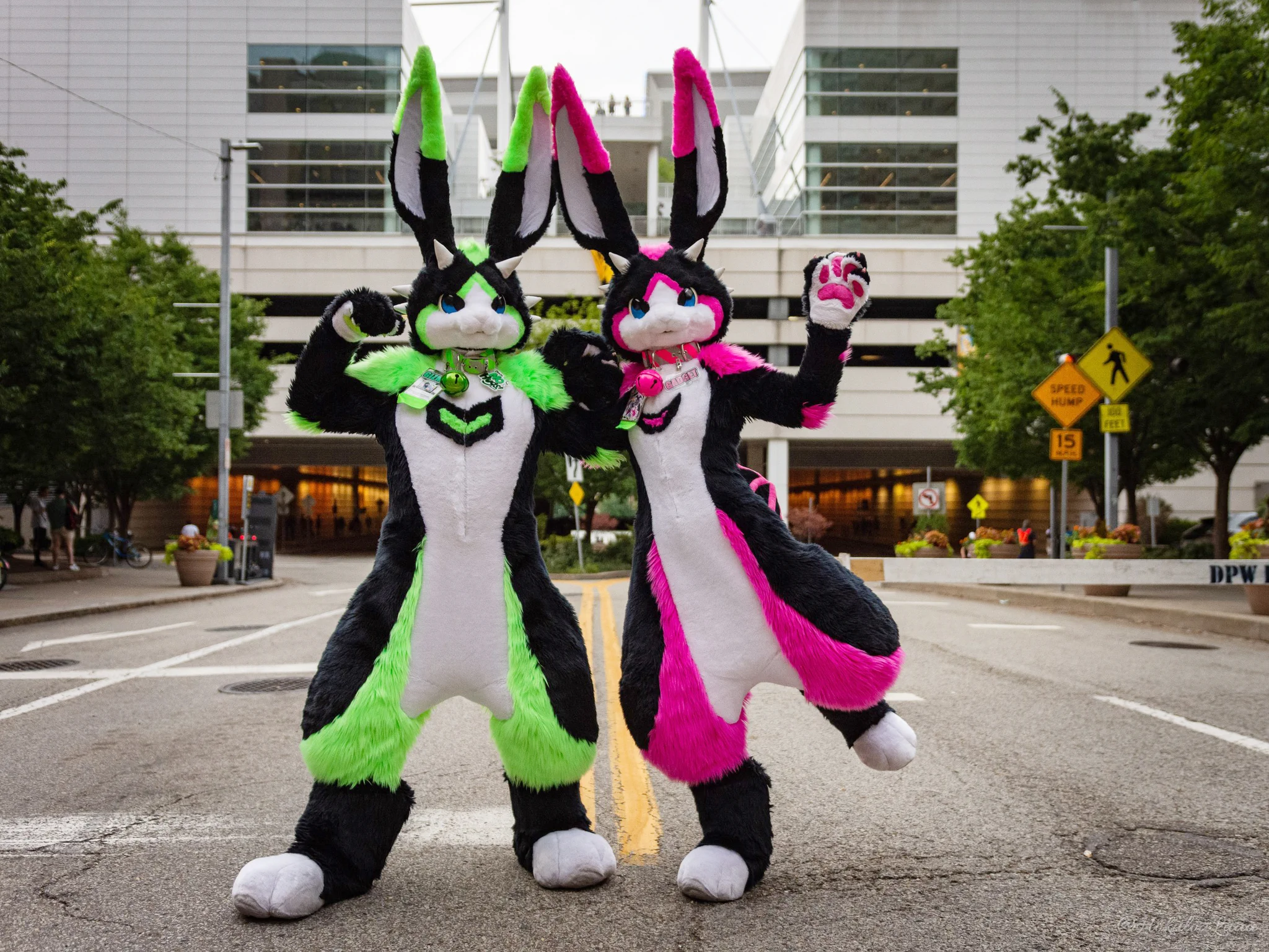 Gizmo: Green! Gadget: Pink!